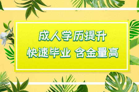 統(tǒng)考專升本教育渠道是專門面向在校的學(xué)生的一種招生方式嗎