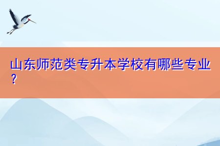 山東師范類專升本學(xué)校有哪些專業(yè)？