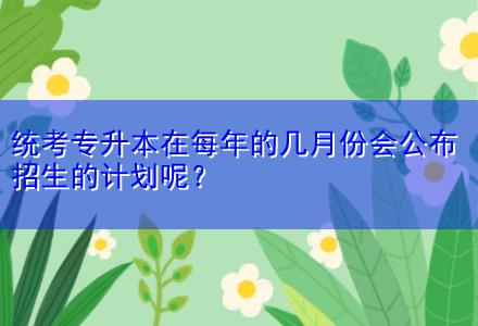 統(tǒng)考專升本在每年的幾月份會公布招生的計劃呢？