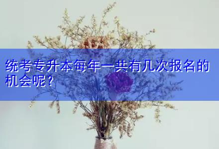 統(tǒng)考專升本每年一共有幾次報(bào)名的機(jī)會(huì)呢？