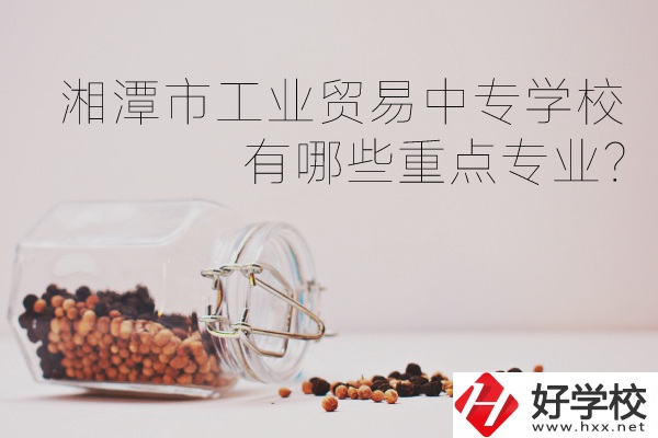 湘潭市工業(yè)貿易中等專業(yè)學校有哪些重點專業(yè)？