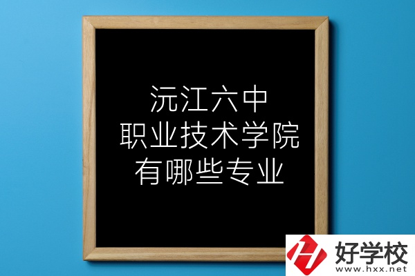 湖南沅江六中職業(yè)技術(shù)學(xué)院有哪些專業(yè)？