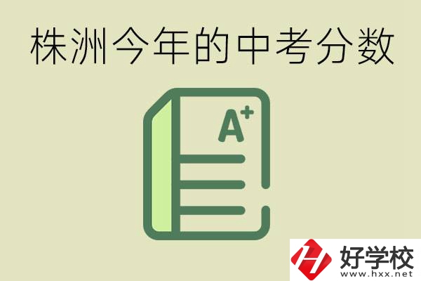 株洲今年中考多少分能上高中？沒(méi)考上有什么選擇？