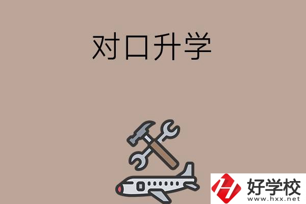 職高學(xué)生參加湖南省對口升學(xué)，有什么本科可以報考？