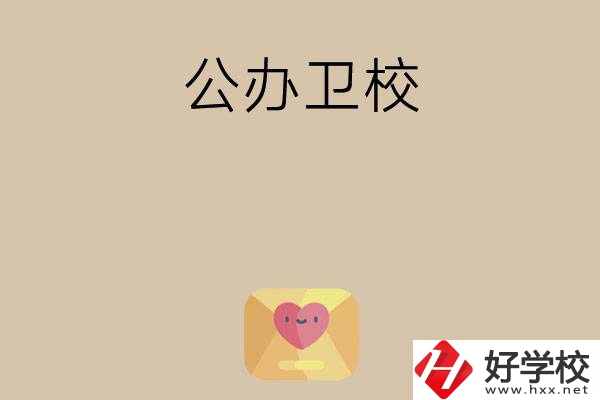 想在湖南上公辦衛(wèi)校？這所學(xué)校值得一看