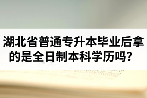 湖北省普通專升本畢業(yè)后拿的是全日制本科學(xué)歷嗎？