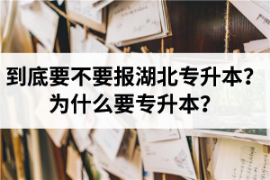 到底要不要報湖北專升本？為什么要專升本？