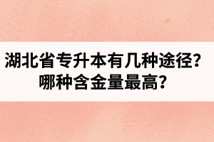 湖北省專升本有幾種途徑？哪種含金量最高？