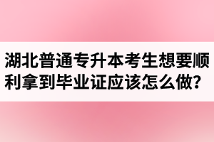 湖北普通專升本考生想要順利拿到畢業(yè)證應(yīng)該怎么做？