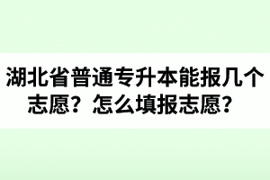 湖北省普通專升本能報(bào)幾個(gè)志愿？怎么填報(bào)志愿？