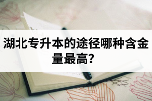 湖北普通專升本英譯漢段落翻譯分析應(yīng)該怎么做？