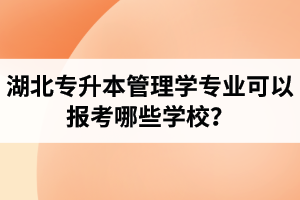 湖北專升本管理學(xué)專業(yè)可以報(bào)考哪些學(xué)校？屬于管理學(xué)的專業(yè)有哪些？