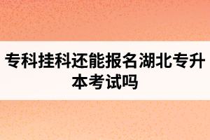 ?？茠炜七€能報名湖北專升本考試嗎？在哪里能獲取最新的專升本資訊？