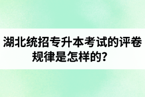 湖北統(tǒng)招專升本考試的評卷規(guī)律是怎樣的？怎么避免丟失細(xì)節(jié)分？