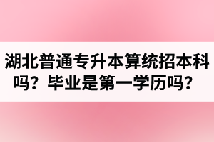 湖北普通專升本算統(tǒng)招本科嗎？專升本學歷是第一學歷嗎？