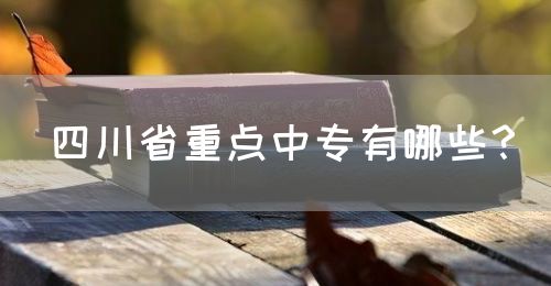 四川省重點(diǎn)中專有哪些？(圖1)