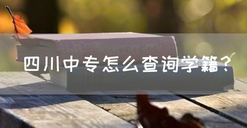 四川中專怎么查詢學籍？(圖1)