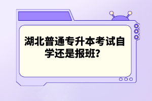 湖北普通專升本考試自學(xué)還是報班？