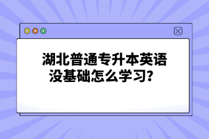 湖北普通專升本英語沒基礎(chǔ)怎么學(xué)習(xí)？