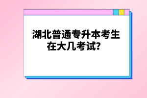 湖北普通專升本考生在大幾考試？