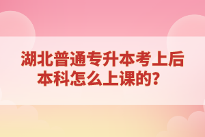 湖北普通專升本考上后本科怎么上課的？