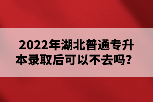 2022年湖北普通專升本錄取后可以不去嗎？