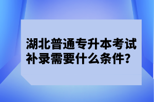 湖北普通專升本考試補(bǔ)錄需要什么條件？