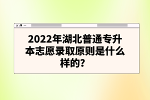 2022年湖北普通專升本志愿錄取原則是什么樣的？