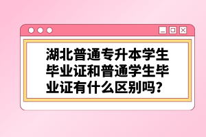 湖北普通專升本學(xué)生畢業(yè)證和普通學(xué)生畢業(yè)證有什么區(qū)別嗎？