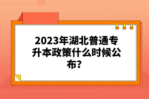 2023年湖北普通專升本政策什么時候公布？