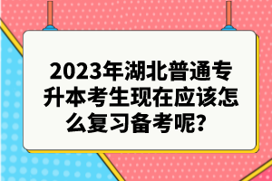 2023年湖北普通專升本考生現(xiàn)在應(yīng)該怎么復(fù)習(xí)備考呢？