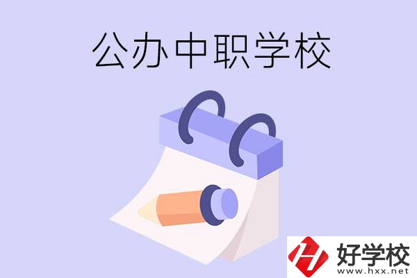 湖南公辦中職學(xué)校有哪些辦學(xué)規(guī)模比較大的？