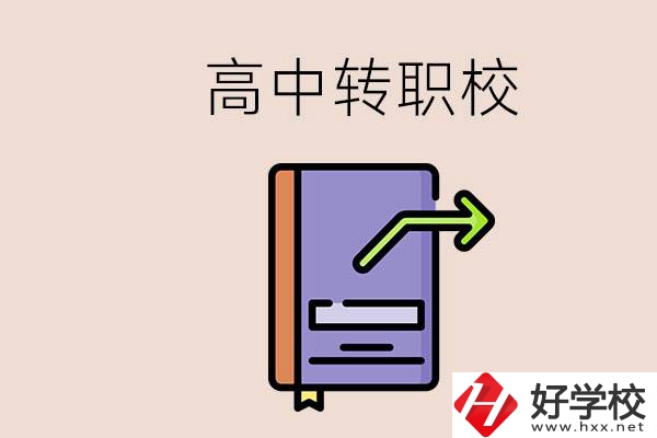 有在讀高中不想讀轉(zhuǎn)職校的例子嗎？能轉(zhuǎn)到湖南職校嗎？