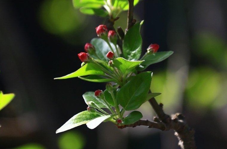 銅仁市中等職業(yè)學(xué)校