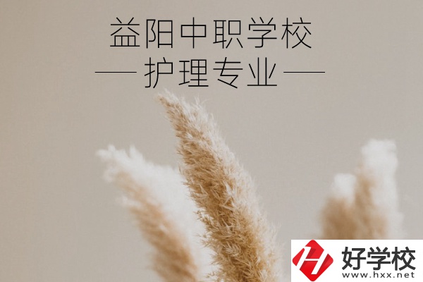 益陽護(hù)理專業(yè)的中職學(xué)校有哪些？需要哪些要求？