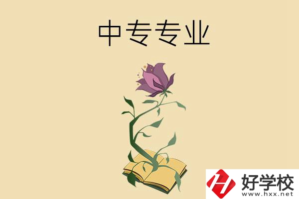 在張家界讀中專，學什么專業(yè)比較好？