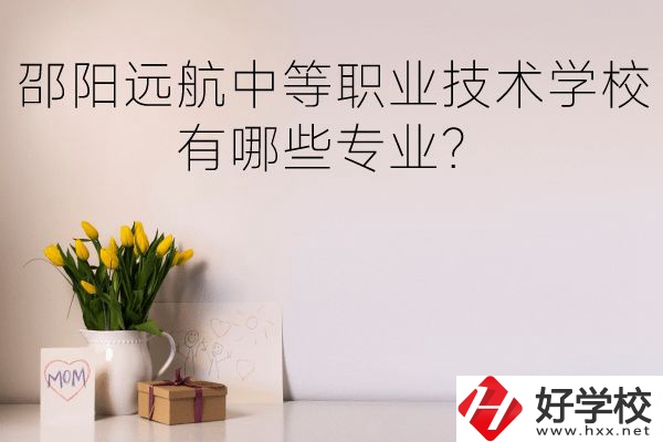 邵陽遠(yuǎn)航中等職業(yè)技術(shù)學(xué)校有哪些專業(yè)？