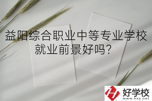 益陽(yáng)綜合職業(yè)中等專業(yè)學(xué)校如何？就業(yè)前景好嗎？