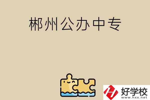 郴州公辦中專有哪些開(kāi)設(shè)了電子商務(wù)專業(yè)？