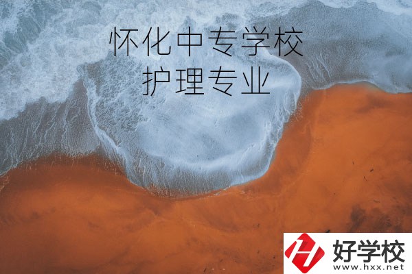 懷化有學護理專業(yè)的中專學校嗎？