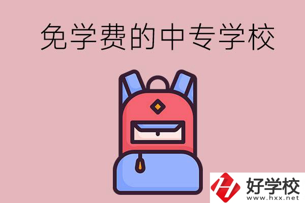 郴州市的中專哪些是免學(xué)費(fèi)的？