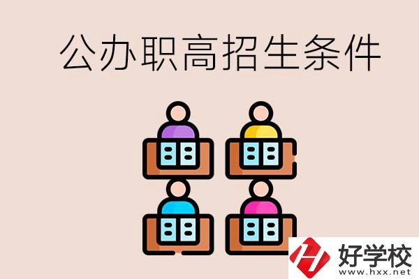 邵陽市有哪些公辦職高？學校的招生條件是什么？