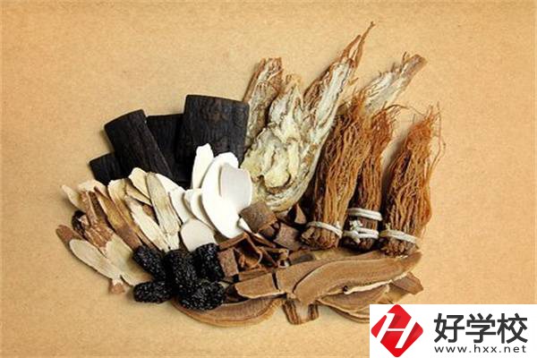 在湘西學(xué)中草藥栽培怎么樣？開設(shè)此專業(yè)的學(xué)校有哪些？