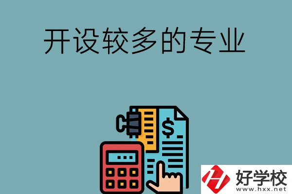 湖南的中職學(xué)校開設(shè)較多的專業(yè)是哪些？