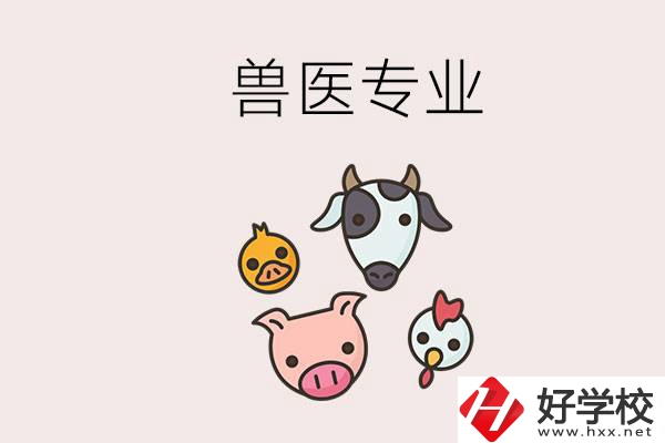 湖南哪些職校能學獸醫(yī)專業(yè)？學獸醫(yī)前景怎么樣？