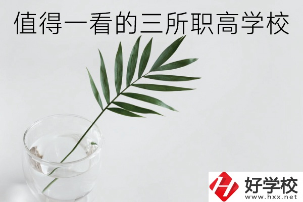 湖南有什么好的職高學(xué)校？這3所學(xué)校值得一看！