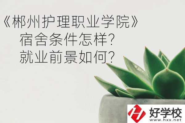 郴州護(hù)理職業(yè)學(xué)院宿舍條件怎樣？就業(yè)前景如何？