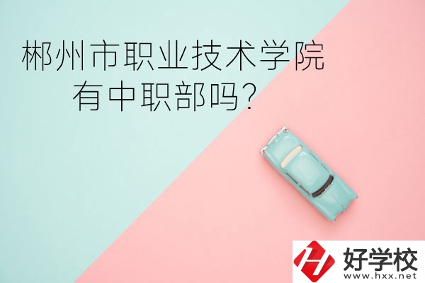 郴州市職業(yè)技術學院有中職部嗎？