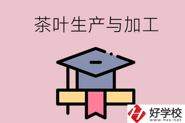 湖南哪些技校開設(shè)了茶葉生產(chǎn)與加工專業(yè)？