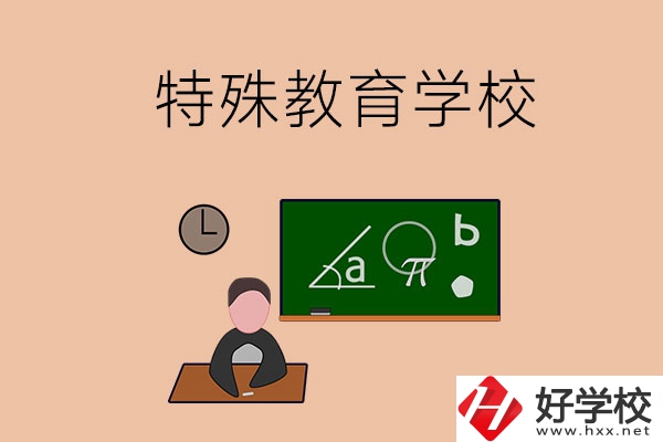 湖南省有哪些特殊教育學(xué)校？